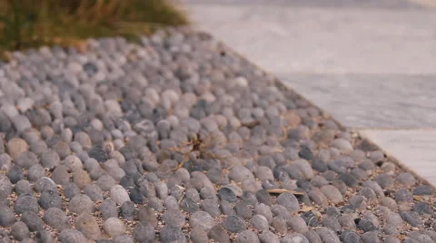 Stone pavement, road Stock-Footage 43963642