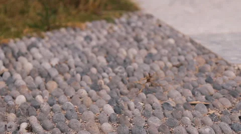 Stone pavement, road Stock Footage 43964762