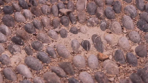 Stone pavement, road Stock Footage 43965044