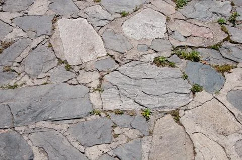 Stone pavement texture Stock Photos