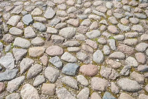 Stone pavement texture. Stock Photos
