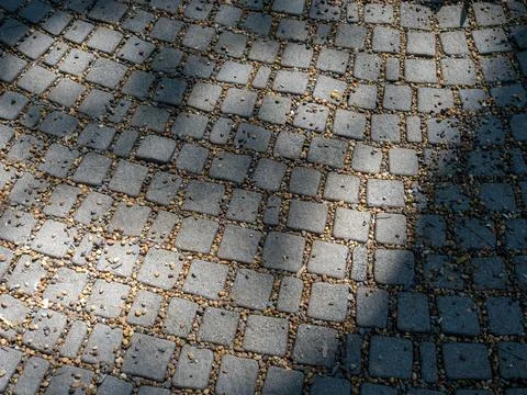 Stone pavement texture with sunlight and tree shadow on geometric outdoor w.. Stock Photos