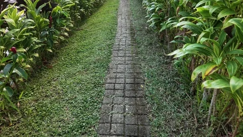 Stone Paving Block Footpath in Lush Garden Surrounded by Green Tropical Plants Stock Footage 338430844