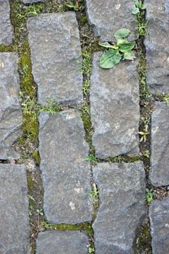 Stone paving Stock Photos
