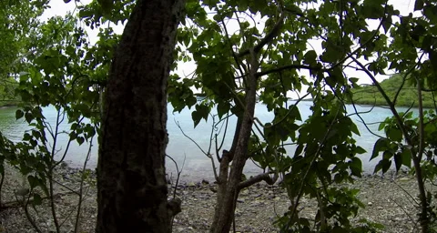 Stone pebble beach Stock Footage 42857651