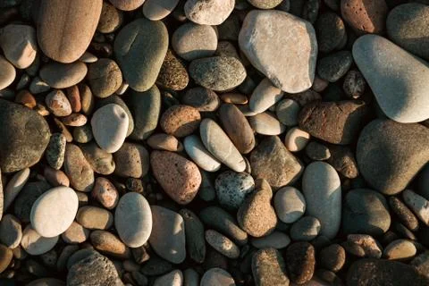 Stone pebbles on the beach as a backround Stock Photos