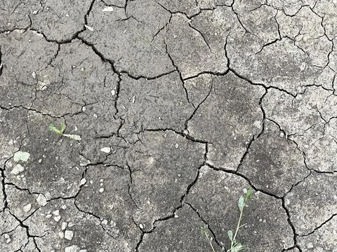 Stone pebbles in floor Foto stock