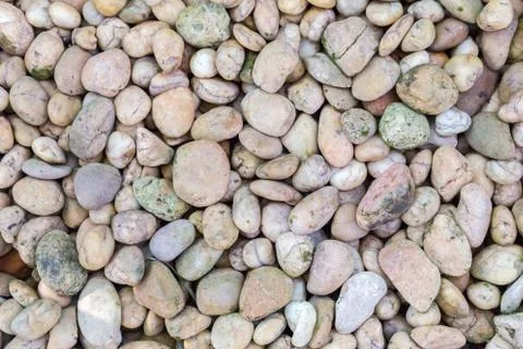 Stone pebbles texture or stone pebbles background for design. Fotos de archivo