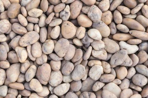 Stone pebbles texture or stone pebbles background for design. Stock Photos