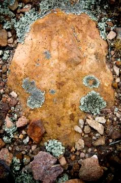 Stone Stock Photos