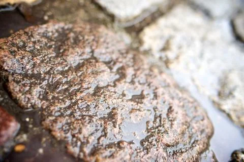 Stone Fotos de archivo