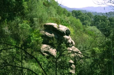 The stone Stock Photos