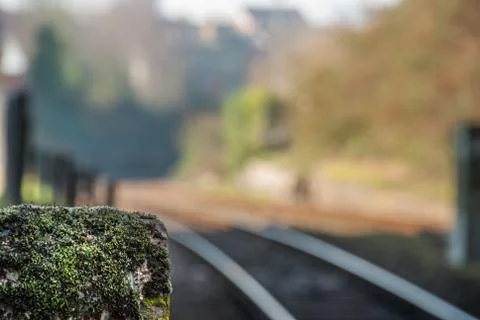 Stone pillars with moss up Foto stock