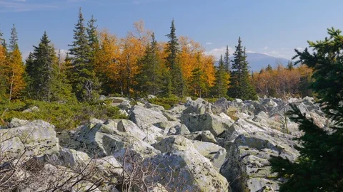 Stone placer. Ural taiga. Video stock 108609385