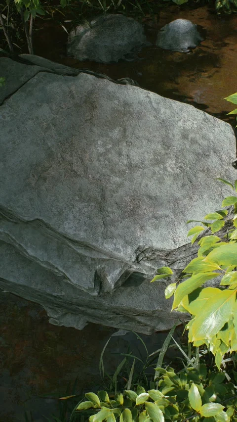 Stone platform 1 Stock Footage 317543563