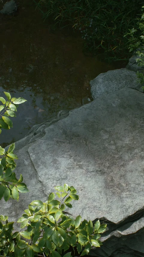 Stone platform 3 Stock Footage 317543564