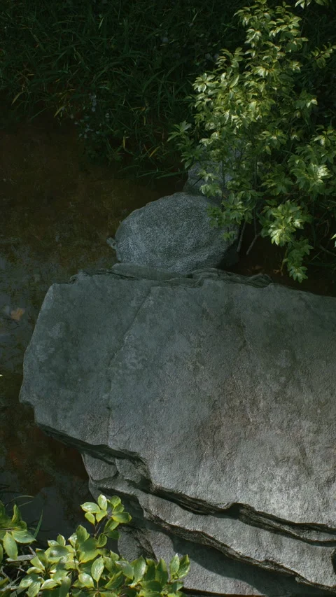 Stone platform 4 Stock Footage 317543588