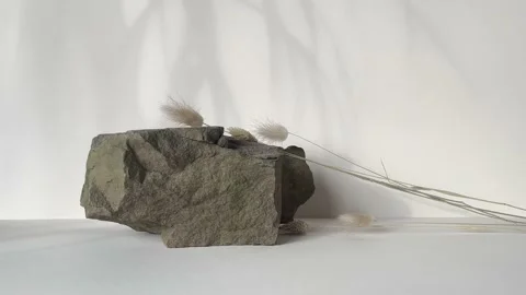 Stone podium on beige background and palm shadow. Stock Footage 232441193