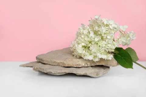 Stone Podium with flowering hydrangea branches for product presentation. Ab.. Stock Photos