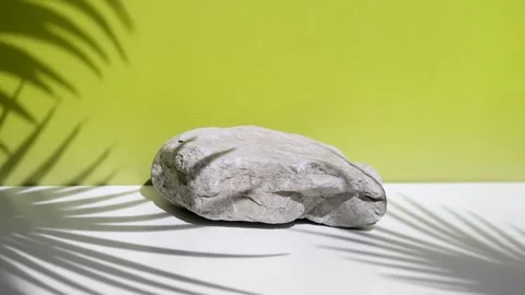 Stone podium, palm leaf shadow on Trendy summer green color background. Stock Footage 193420387