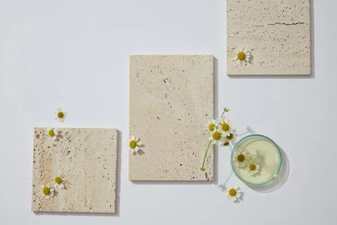 Stone podiums in square and rectangle shape are arranged on white background  Stock Photos