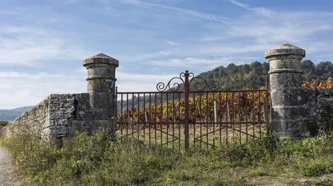 Stone posts and metal gate into a vineyard Stock Photos