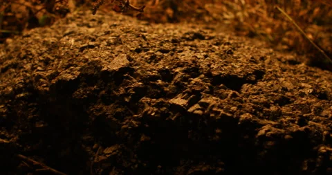 Stone With Reflections Of Fire Stock Footage 293185457