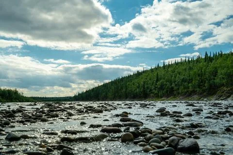 Stone river against the background of the forest Stock Photos