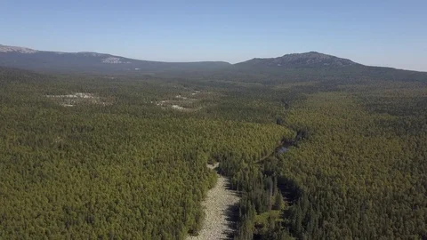 Stone river and forest at the foot of the mountain Video stock 80687685