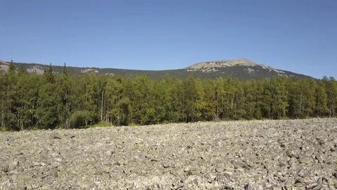 Stone river and forest at the foot of the mountain Stock Footage 80687716