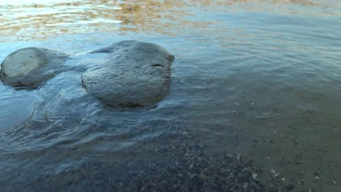Stone in the river on the background of the bridge Video stock 148104023