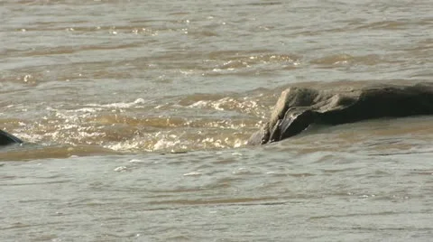 Stone in the River Vídeos de archivo 22243116
