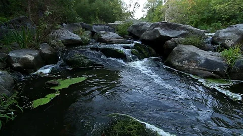 Stone in the river Stock Footage 98791758