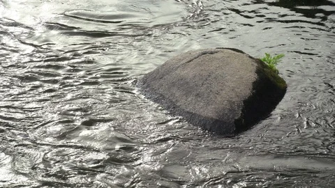 Stone in the river Vidéo 107902184