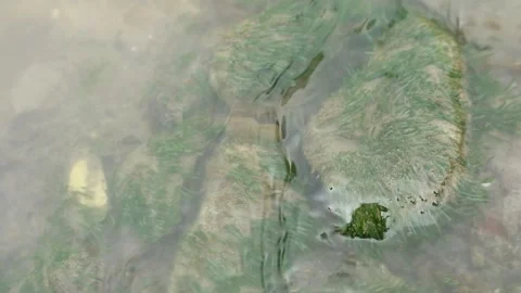Stone in the river Stock Footage 337607566