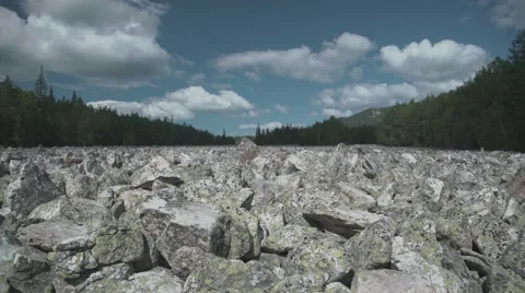 Stone river in the forest Stock Footage 65597785