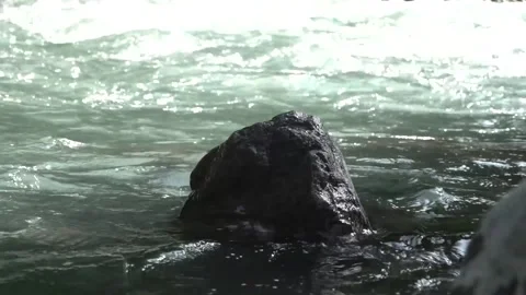 Stone in the river.  HS120FPS Stock Footage 139341432