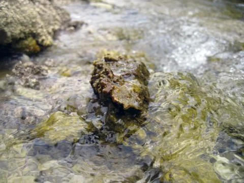 Stone in the river Stock Photos