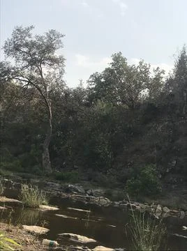 Stone on the river Stock Photos