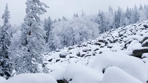 Stone river in Vitosha mountain Stock Footage 129571137