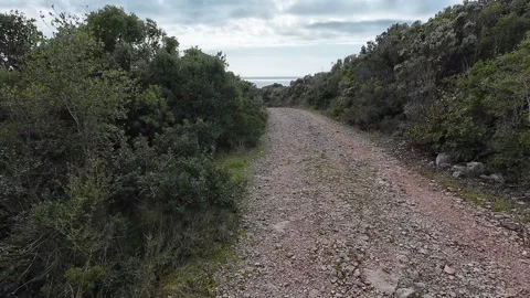 Stone road leading to the beach Stock Footage 266822211