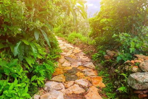 Stone road in Nepal Stock-Fotos