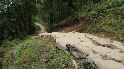 Stone road in Nepalese forest jungle Stock Footage