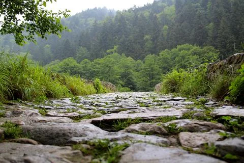 Stone road Stock Photos