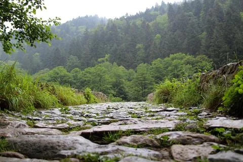 Stone road Stock Photos