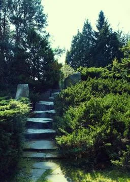 A stone road to the top among lush vegetation. Stock Photos