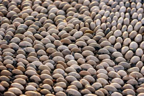 Stone rock background texture with volumetrical light 스톡 사진