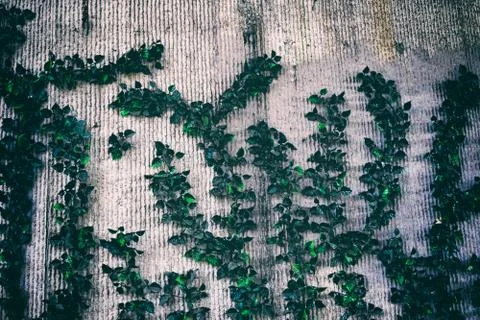 Stone rock brick block pattern texture Stock Photos