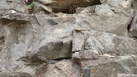 Stone rock surface close up Stock Footage 317328381