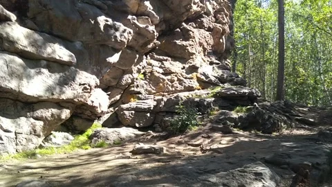 Stone rock in the wild forest Stock Footage 160807240